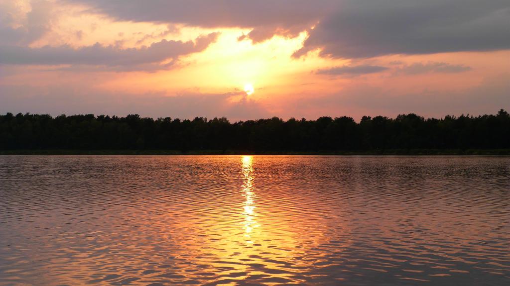 Liubas Insel *