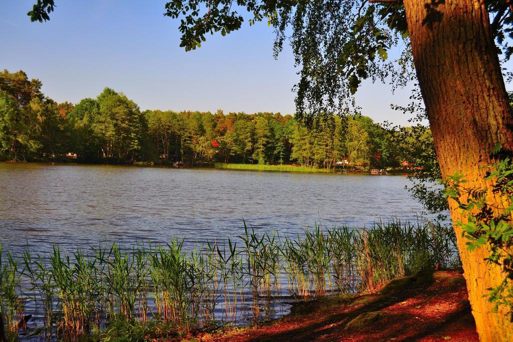 Liubas Insel * Köthen